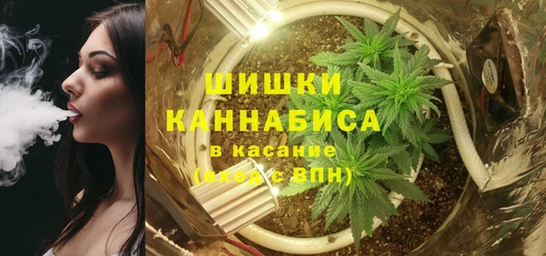 индика Аркадак