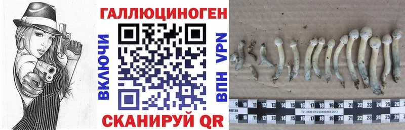 МЕГА ССЫЛКА  Электроугли  Псилоцибиновые грибы мухоморы 
